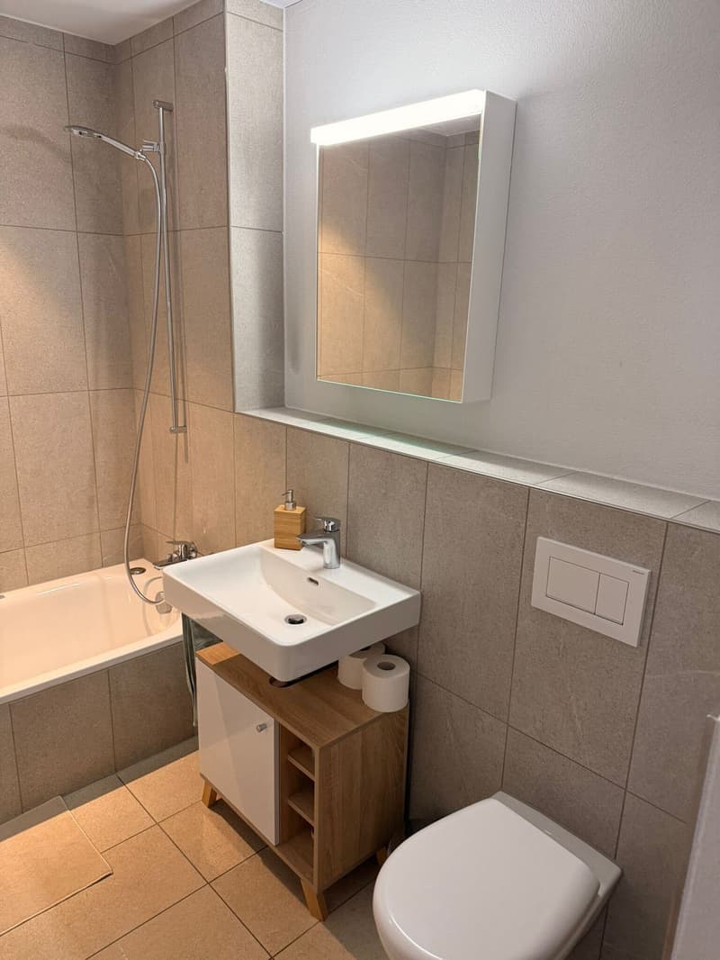 Möblierte 2.5-Zimmer-Wohnung in Horgen Oberdorf Untermiete für ca. 2 Jahre (12)