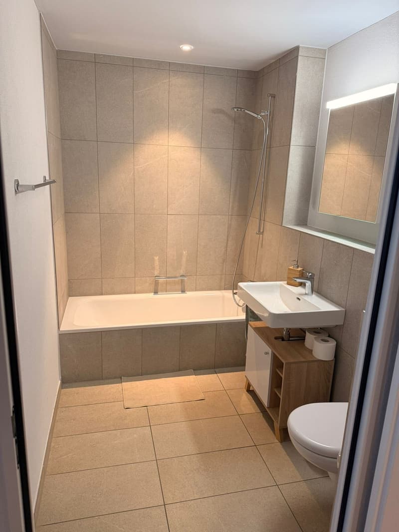 Möblierte 2.5-Zimmer-Wohnung in Horgen Oberdorf Untermiete für ca. 2 Jahre (11)