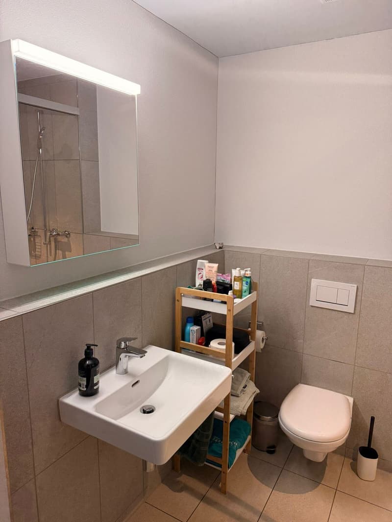 Möblierte 2.5-Zimmer-Wohnung in Horgen Oberdorf Untermiete für ca. 2 Jahre (10)