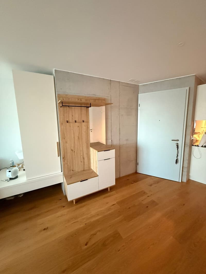 Möblierte 2.5-Zimmer-Wohnung in Horgen Oberdorf Untermiete für ca. 2 Jahre (5)