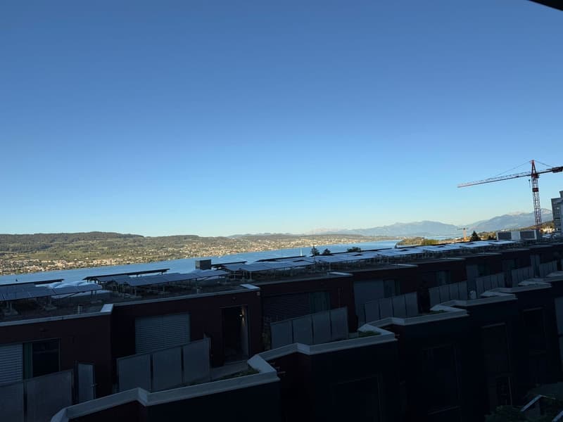 Möblierte 2.5-Zimmer-Wohnung in Horgen Oberdorf Untermiete für ca. 2 Jahre (2)