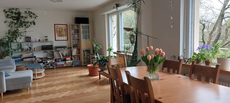 Helle, geräumige Wohnung zur Untermiete, befristet (1)