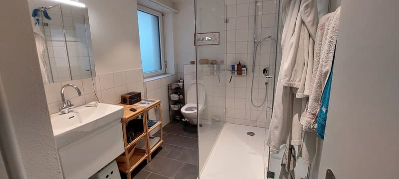 Helle, geräumige Wohnung zur Untermiete, befristet (6)