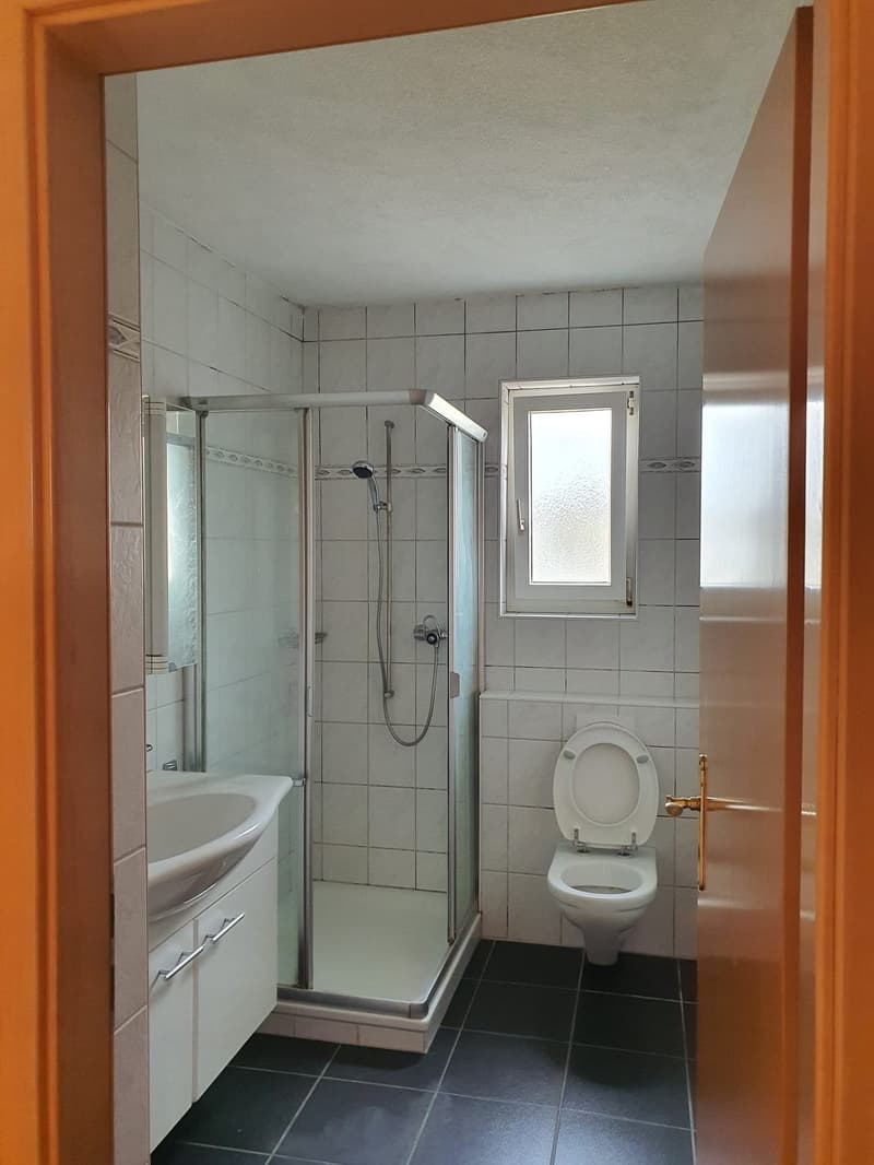 3 Zimmer-Wohnung, 4657 Dulliken (5)