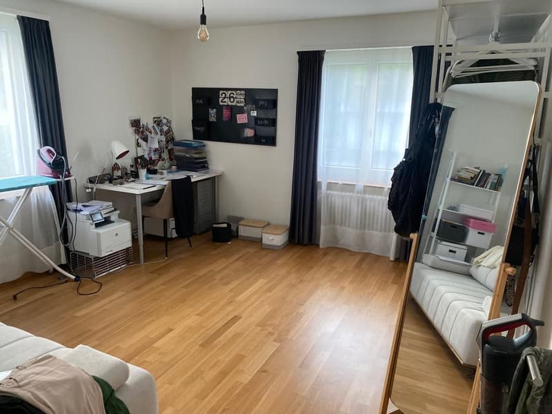 Bright & Spacious Apartment with Stunning Lake and Mountain Views in Lucerne (6)