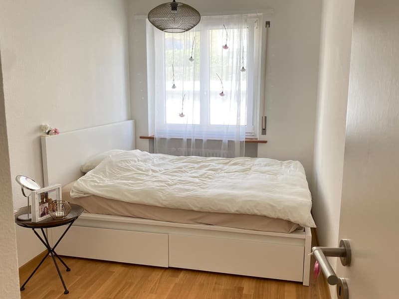 Bright & Spacious Apartment with Stunning Lake and Mountain Views in Lucerne (5)
