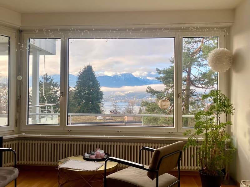 Bright & Spacious Apartment with Stunning Lake and Mountain Views in Lucerne (1)