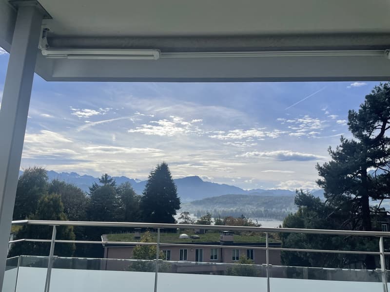 Helle & grosszügige Wohnung mit traumhafter See- und Bergsicht in Luzern (8)