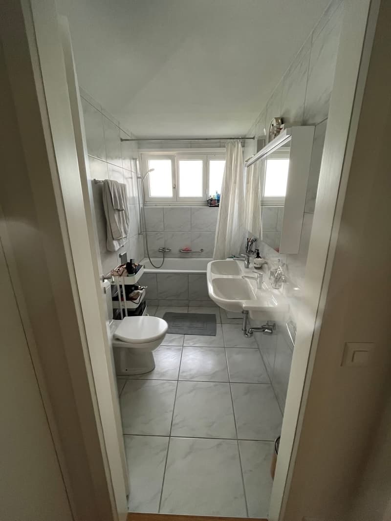 Helle & grosszügige Wohnung mit traumhafter See- und Bergsicht in Luzern (7)