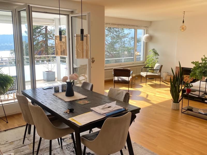 Bright & Spacious Apartment with Stunning Lake and Mountain Views in Lucerne (3)