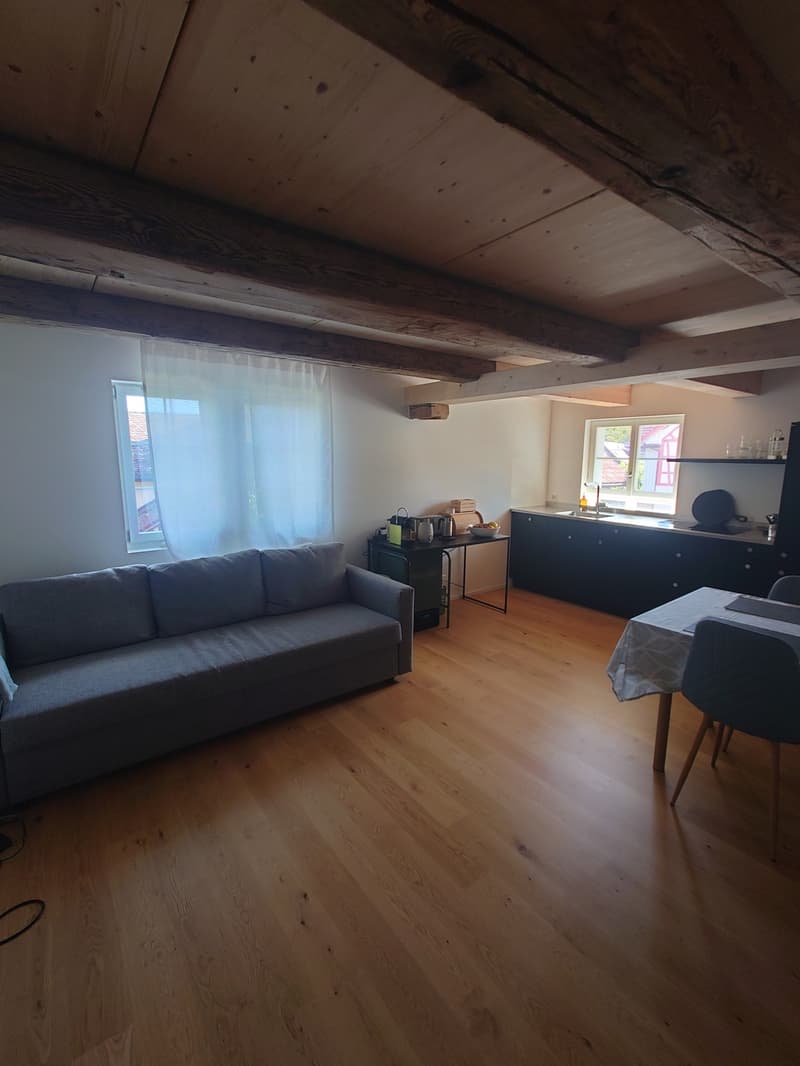 3-Zimmerwohnung 1.OG (2/2) mit Balkon (5)