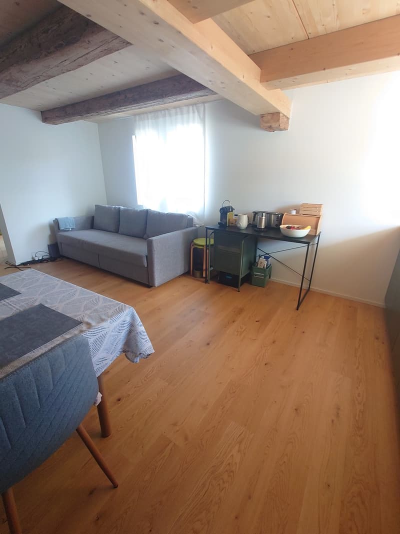 3-Zimmerwohnung 1.OG (2/2) mit Balkon (4)