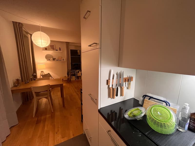 Appartement 2 ½ pièces, 3012 Bern (4)