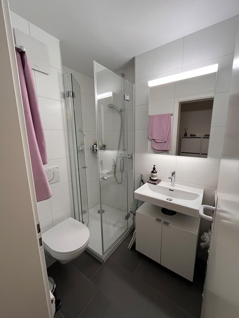 Appartement 2 ½ pièces, 3012 Bern (10)