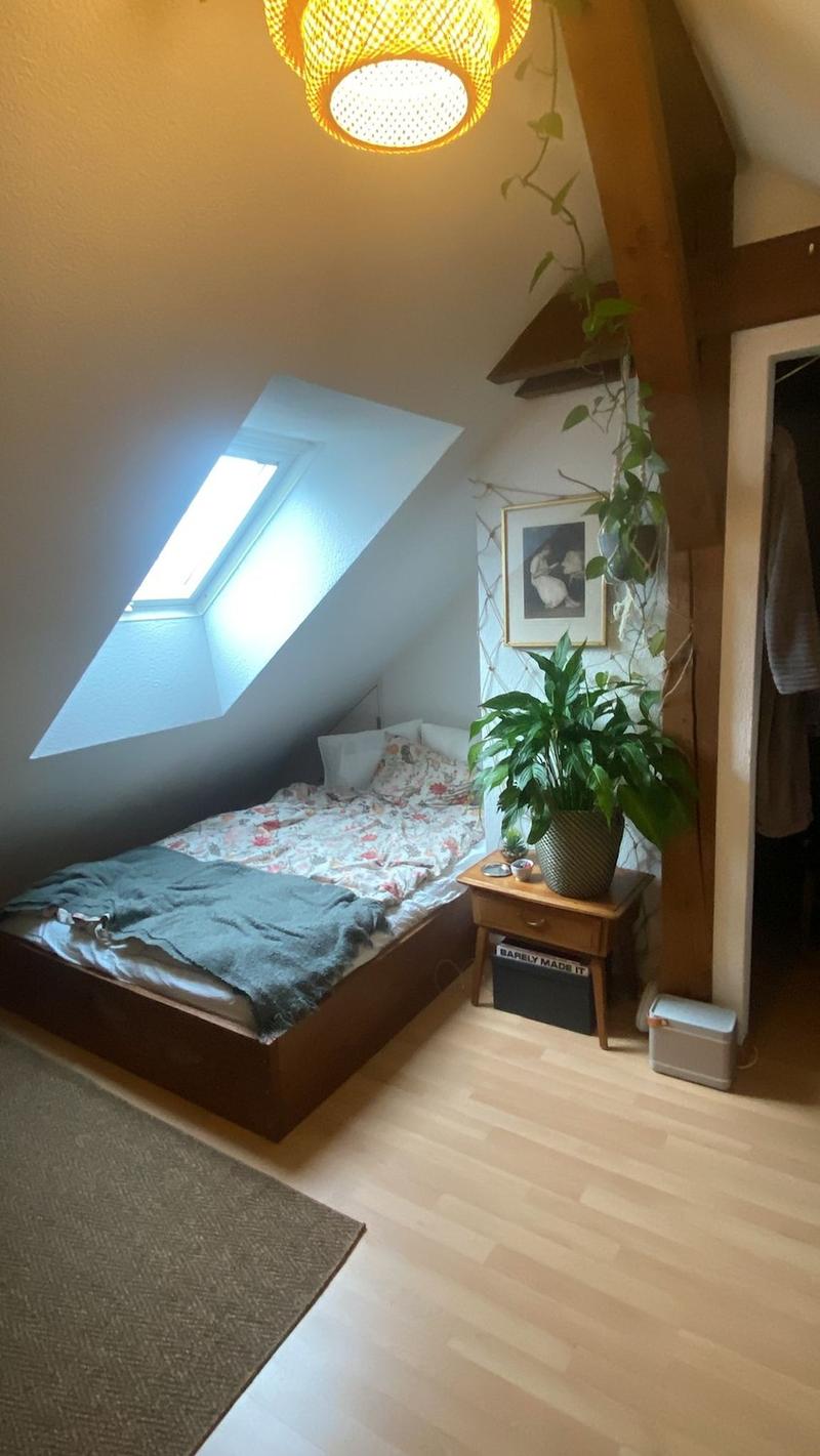 WG-Zimmer im Breitsch (1)