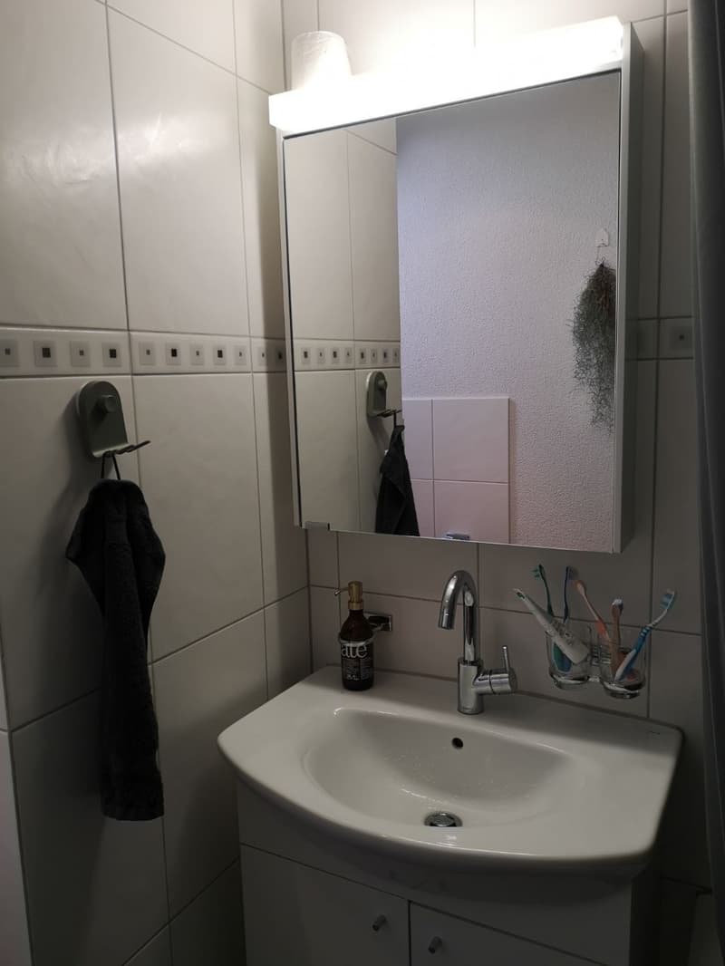 WG-Zimmer in Luzern (7)