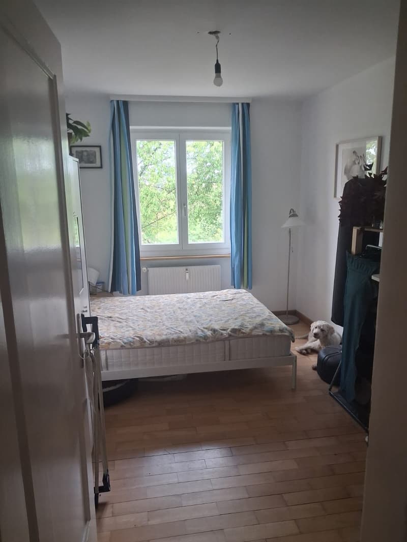 Charmante Wohnung im Hochparterre (6)