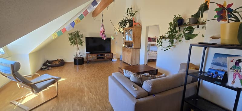 3 ½ Zimmer-Wohnung, 8330 Pfäffikon ZH (3)