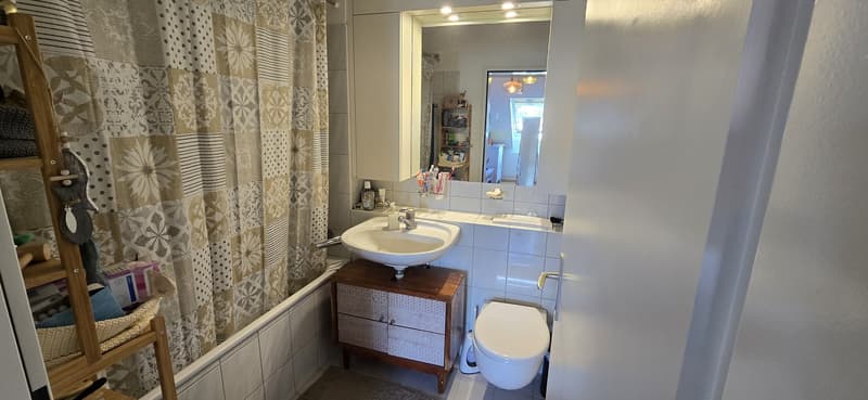 3 ½ Zimmer-Wohnung, 8330 Pfäffikon ZH (5)