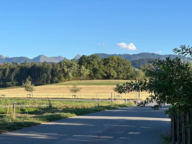 Zwei Zimmer frei in gemeinschaftlicher WG auf Hof in Schwarzenburg Nähe Bern (7)
