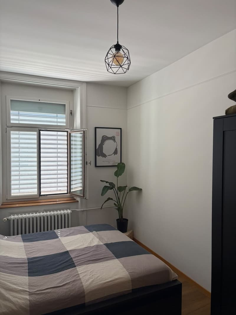 WG-Zimmer + Büro in Luzern (Löwenstrasse) ab Dezember (2)