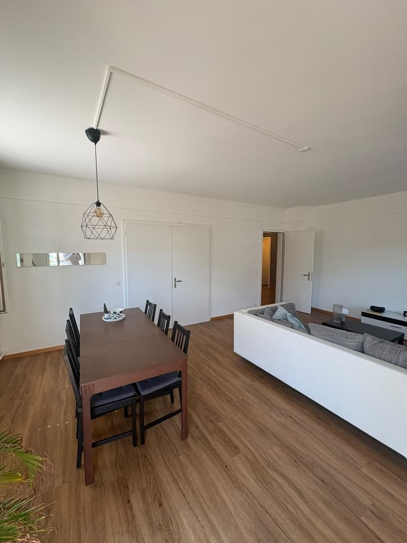 WG-Zimmer + Büro in Luzern (Löwenstrasse) ab Dezember (11)