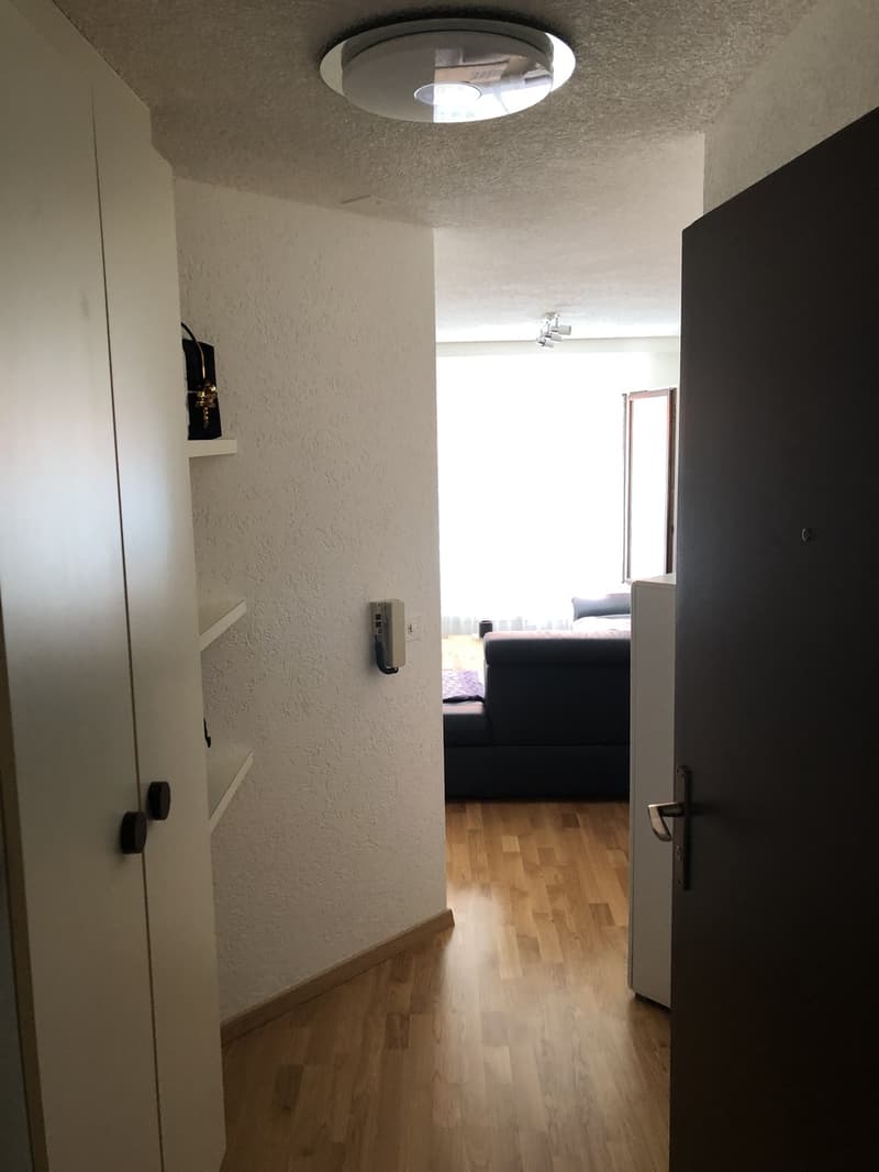 Suche Nachmieter wegen Auswanderung (6)