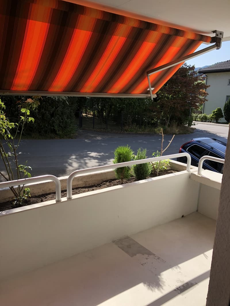 Suche Nachmieter wegen Auswanderung (5)