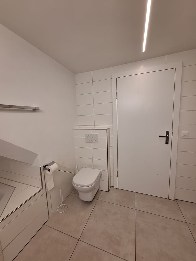 3 ½ Zimmer-Wohnung, 8453 Alten (10)