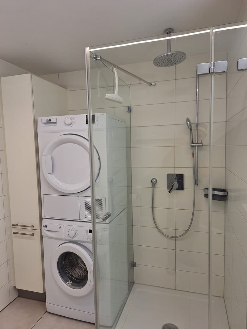 3 ½ Zimmer-Wohnung, 8453 Alten (9)
