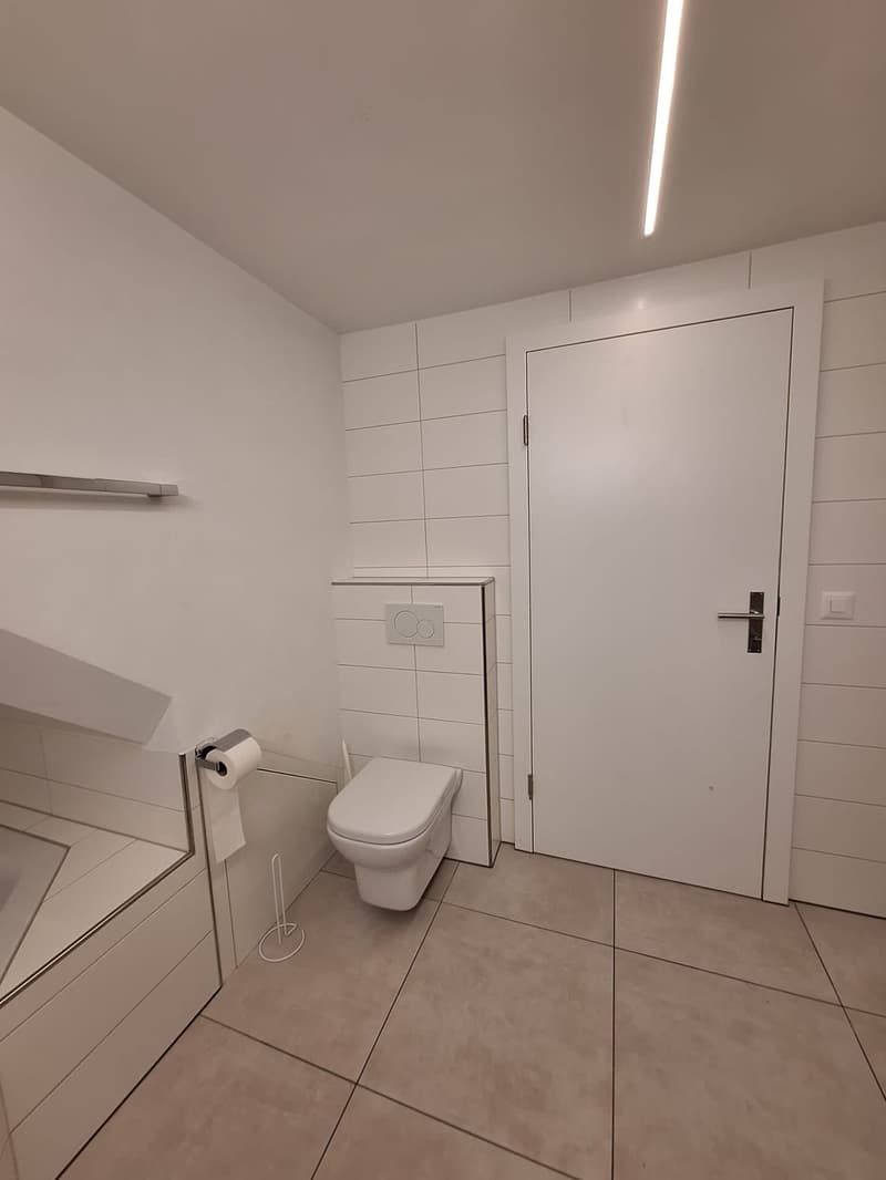 3 ½ Zimmer-Wohnung, 8453 Alten (1)
