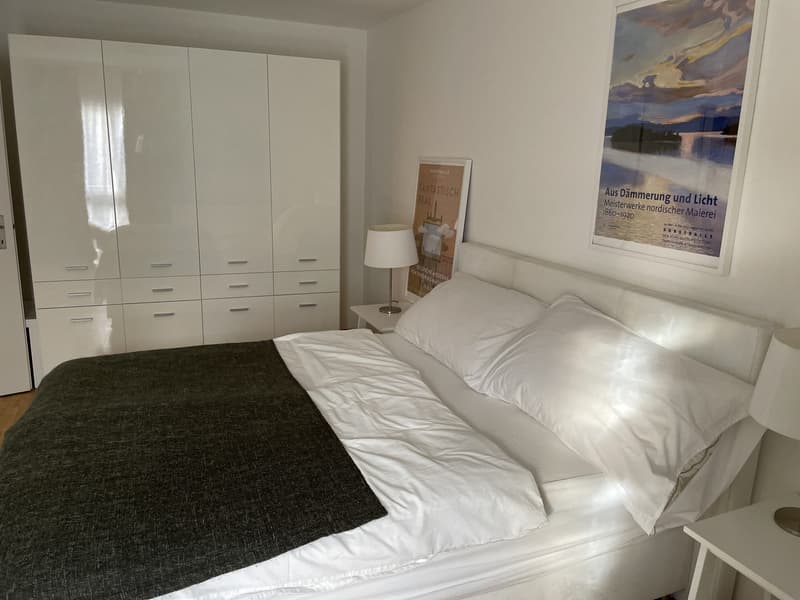 Furnished 2.5-room flat, 75 m², quiet, Oerlikon  everything included (7)