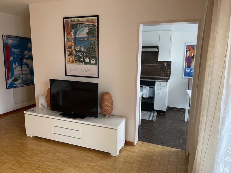 Furnished 2.5-room flat, 75 m², quiet, Oerlikon  everything included (3)
