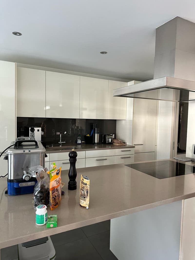 Moderne 2.5 Zimmer Wohnung (4)