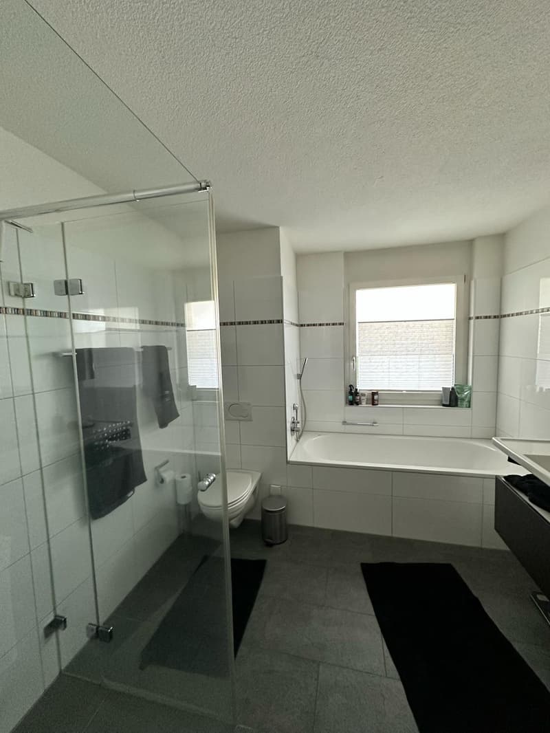 Moderne 2.5 Zimmer Wohnung (3)