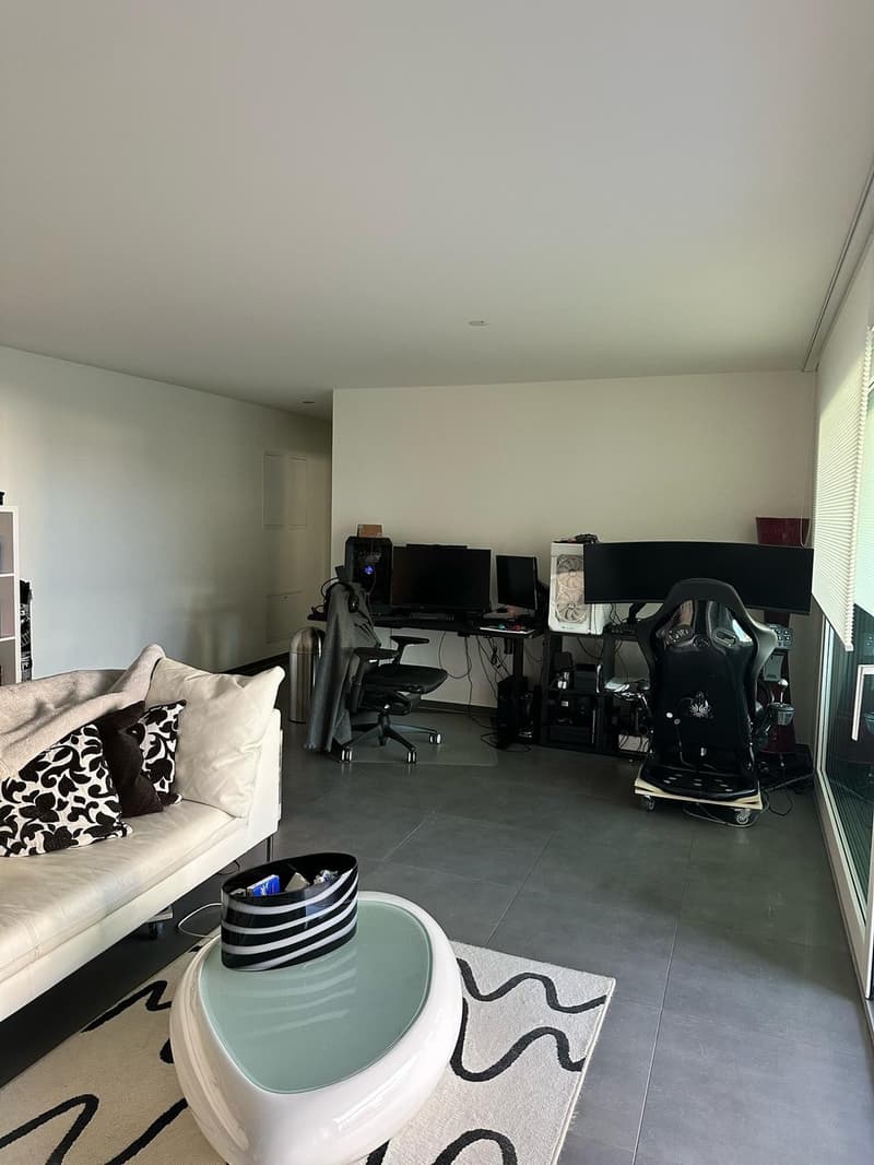 Moderne 2.5 Zimmer Wohnung (5)