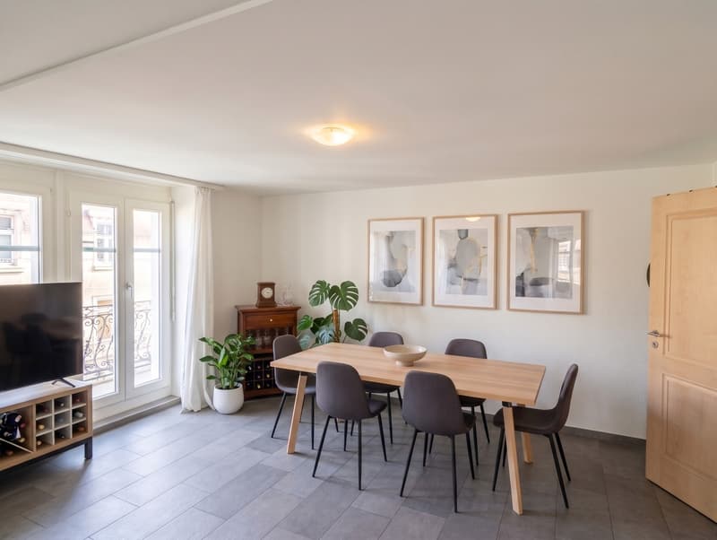 3.5 Apartment Near Helvetiaplatz (2)