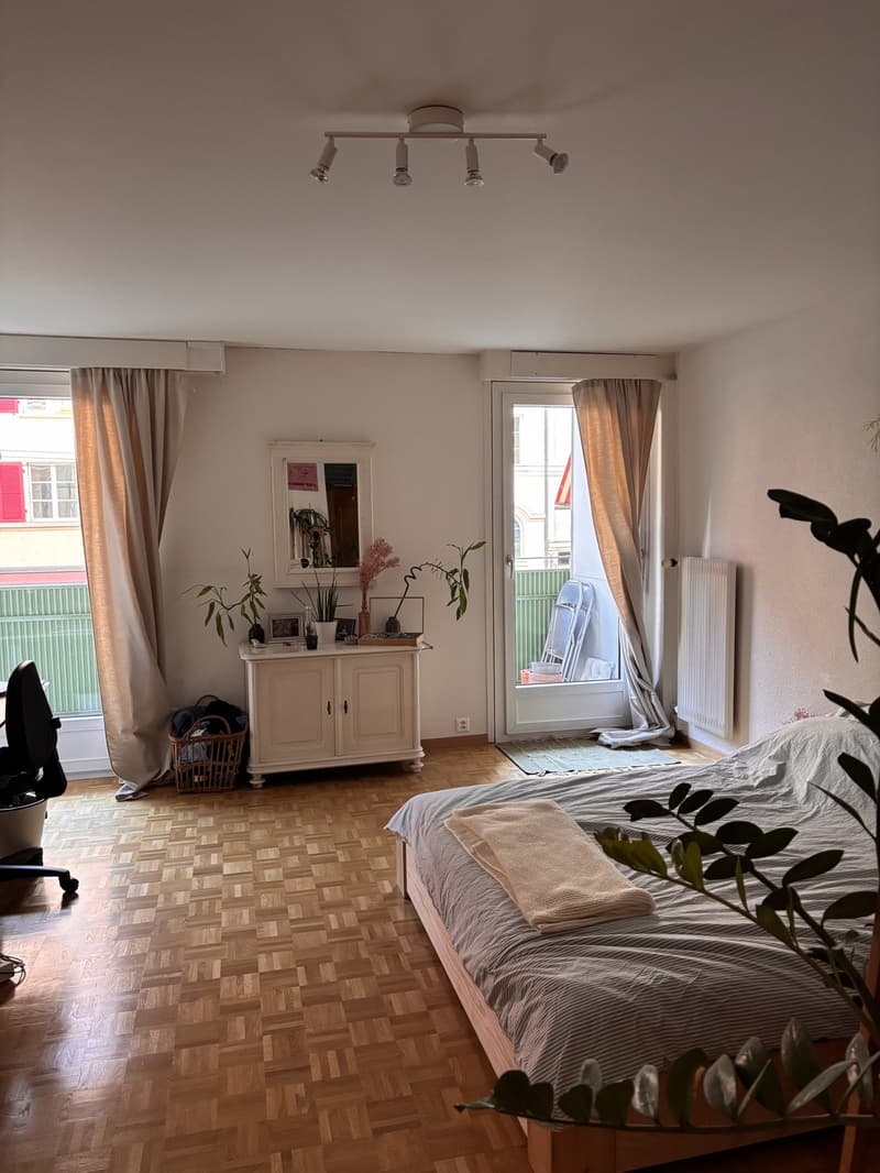 Befristete 2 Zimmer Wohnung im Länggassquartier (3)