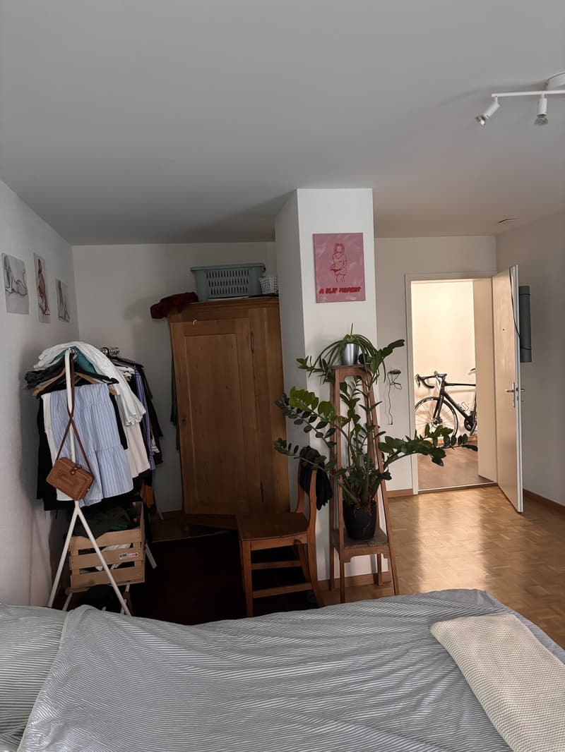 Befristete 2 Zimmer Wohnung im Länggassquartier (4)