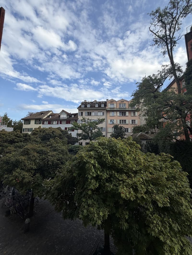 60 m² Altbau-Studio mit 4 m hohen Decken im Zürcher Niederdorf (5)