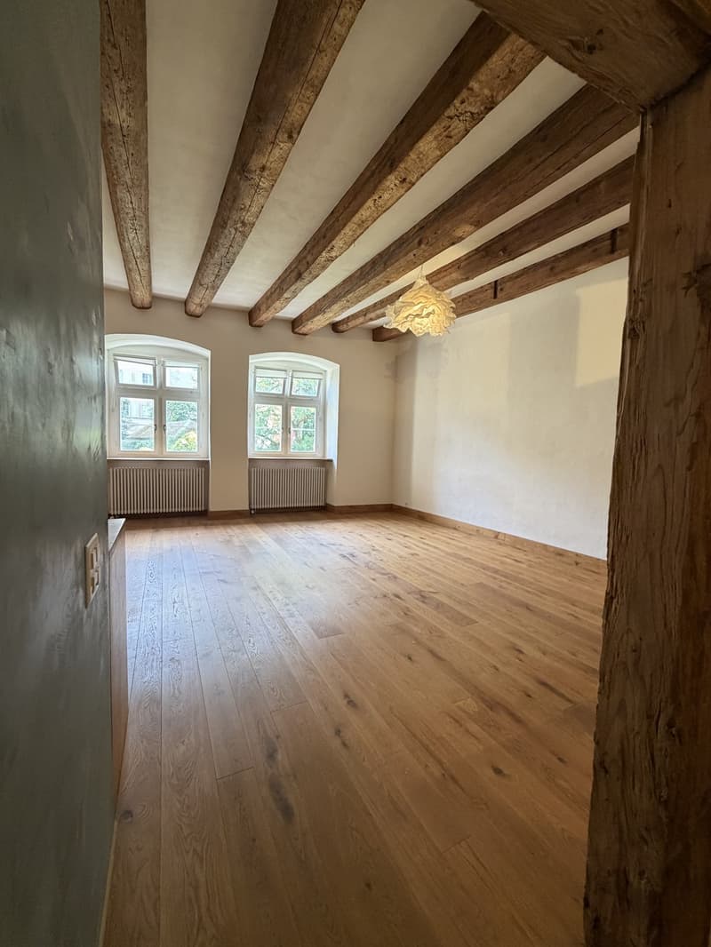 60 m² Altbau-Studio mit 4 m hohen Decken im Zürcher Niederdorf (9)