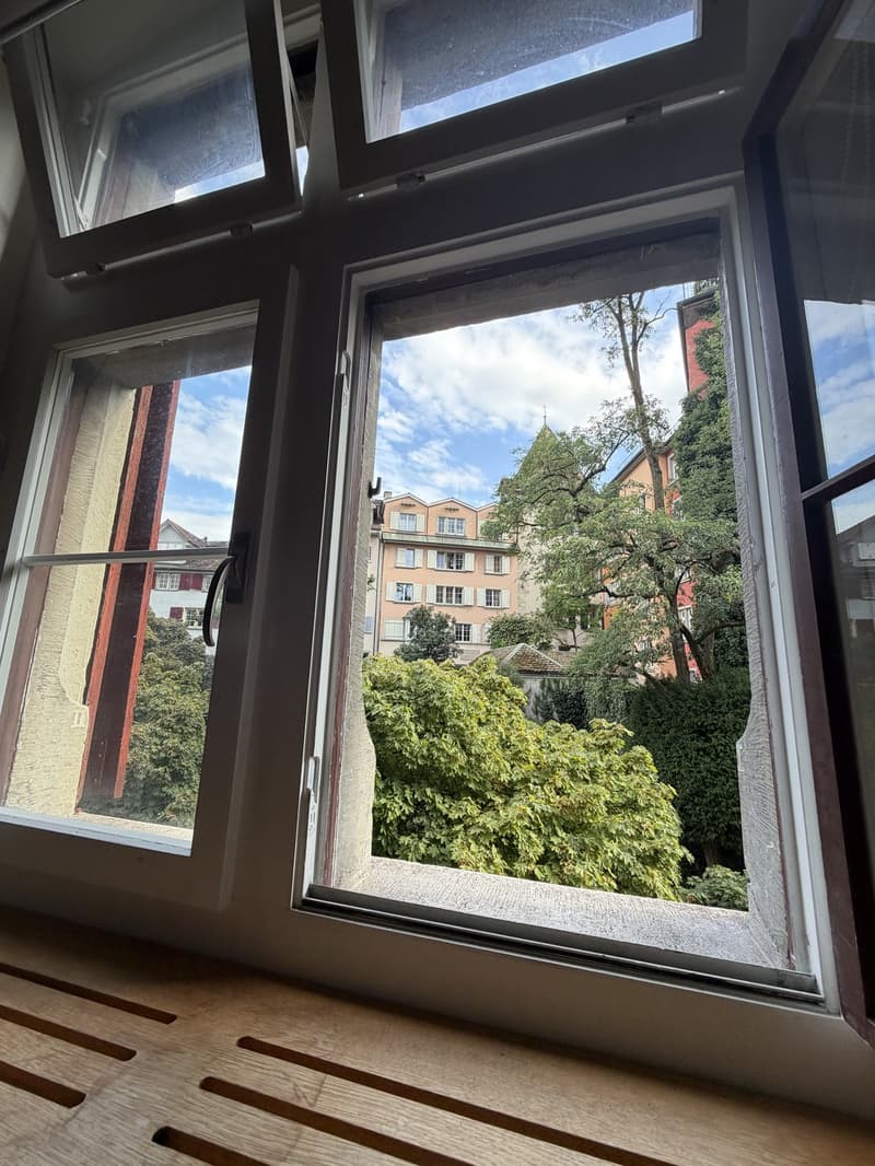 60 m² Altbau-Studio mit 4 m hohen Decken im Zürcher Niederdorf (4)