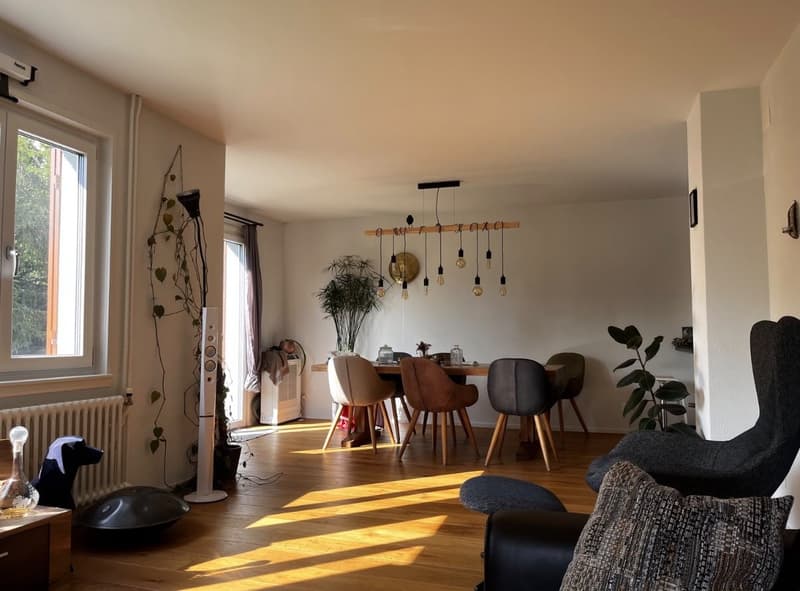 Haus mit Garten / House with garden (1)