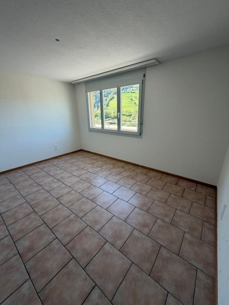 helle 2.5 Zimmerwohnung in Kriens ab sofort (3)