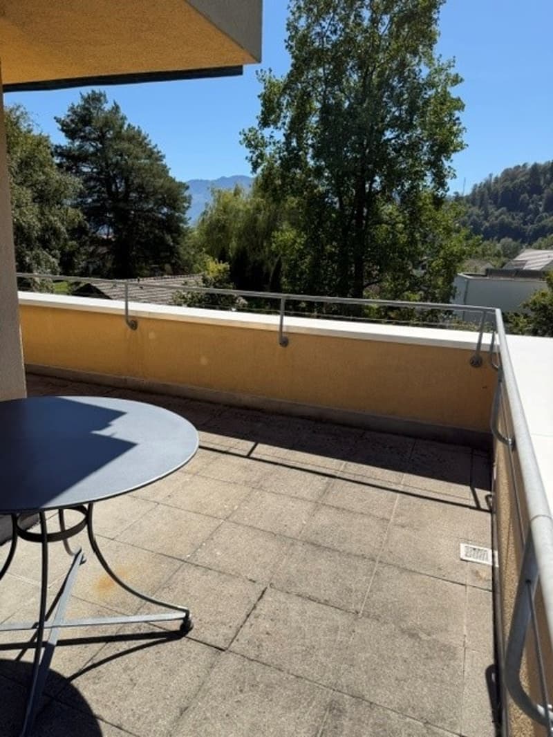 helle 2.5 Zimmerwohnung in Kriens ab sofort (6)