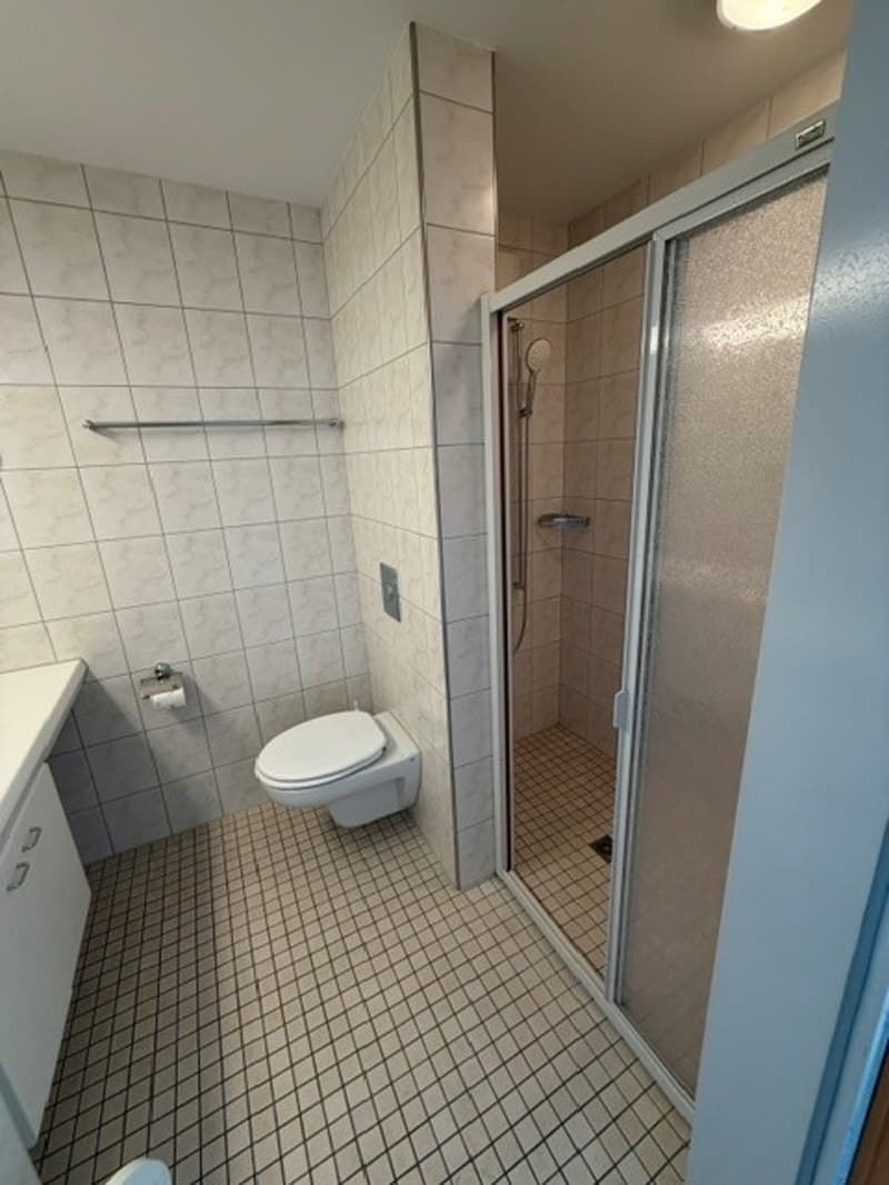 helle 2.5 Zimmerwohnung in Kriens ab sofort (9)