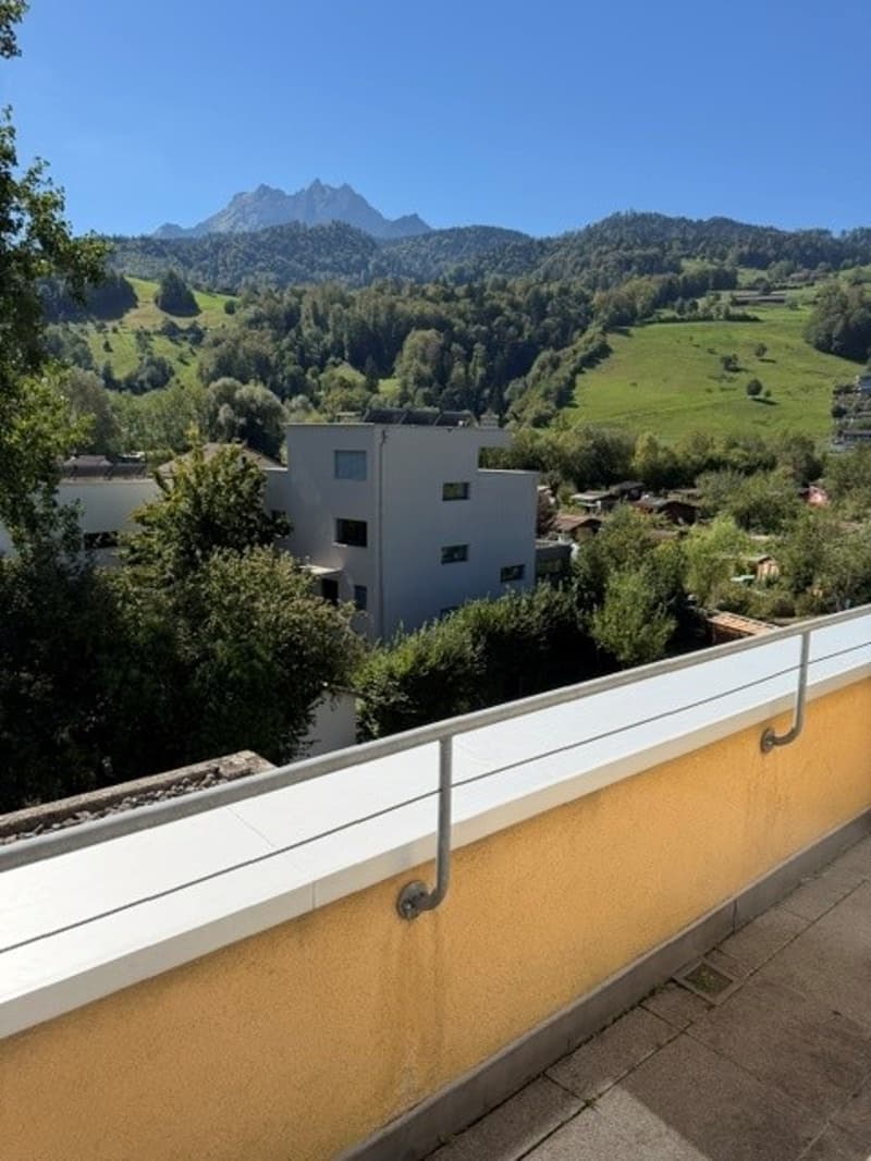 helle 2.5 Zimmerwohnung in Kriens ab sofort (7)