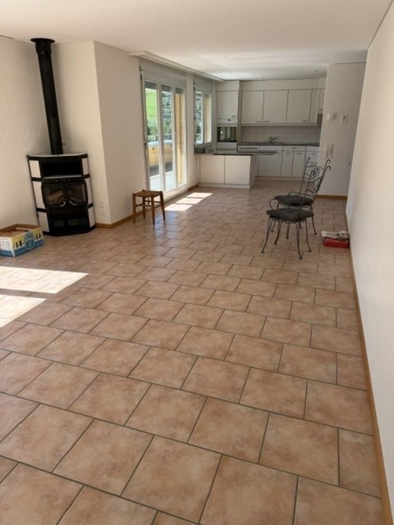 helle 2.5 Zimmerwohnung in Kriens ab sofort (8)