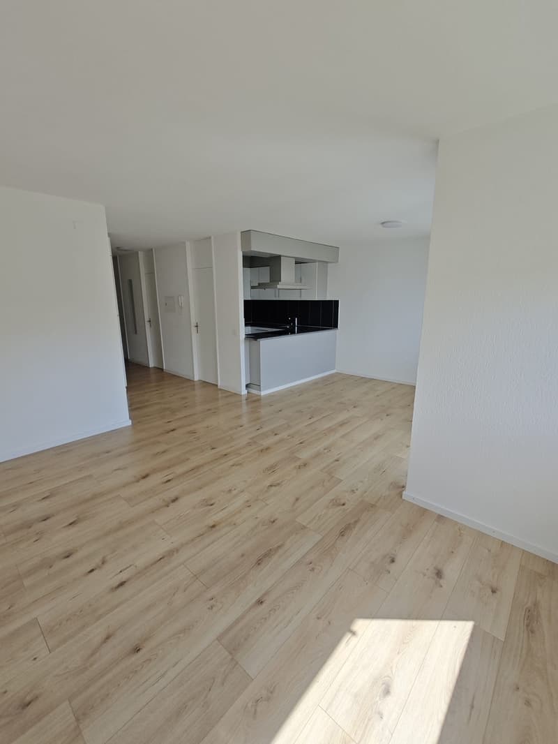 Helle 4.5ZimmerWohnung in Bellach (2)