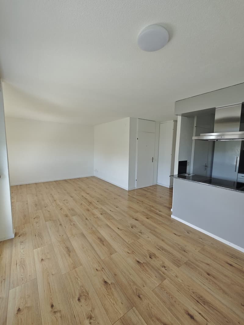 Helle 4.5ZimmerWohnung in Bellach (1)